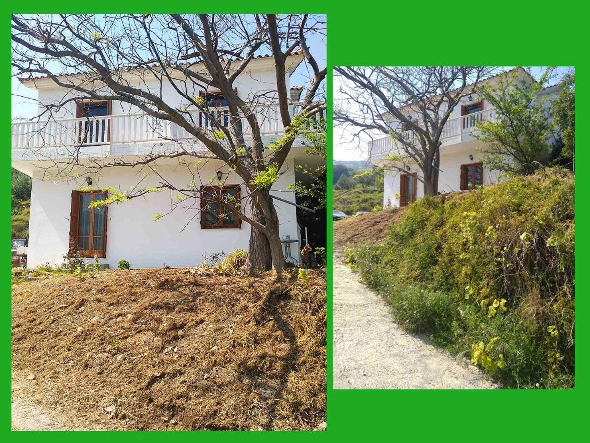 Kampos View Ikaria Leilighet Evdilos  Eksteriør bilde