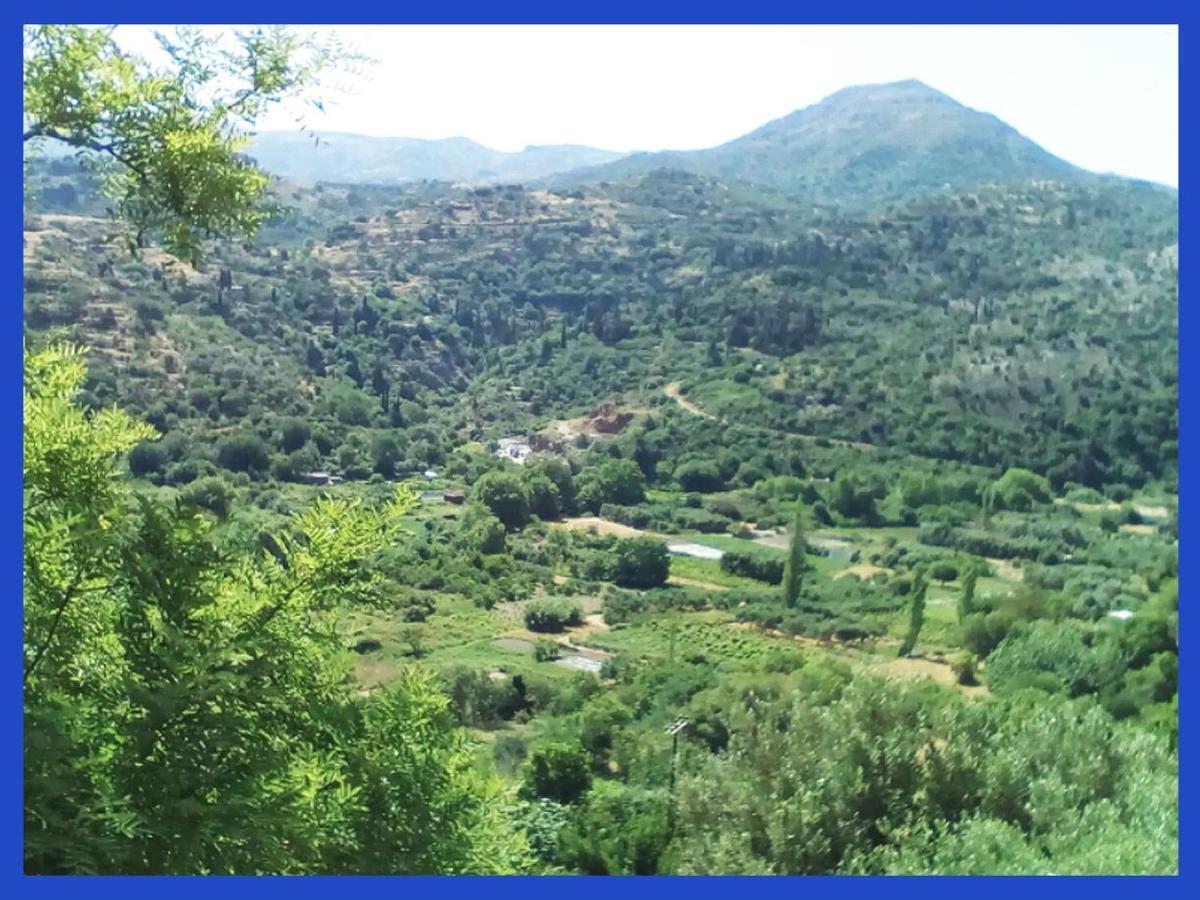 Kampos View Ikaria Leilighet Evdilos  Eksteriør bilde