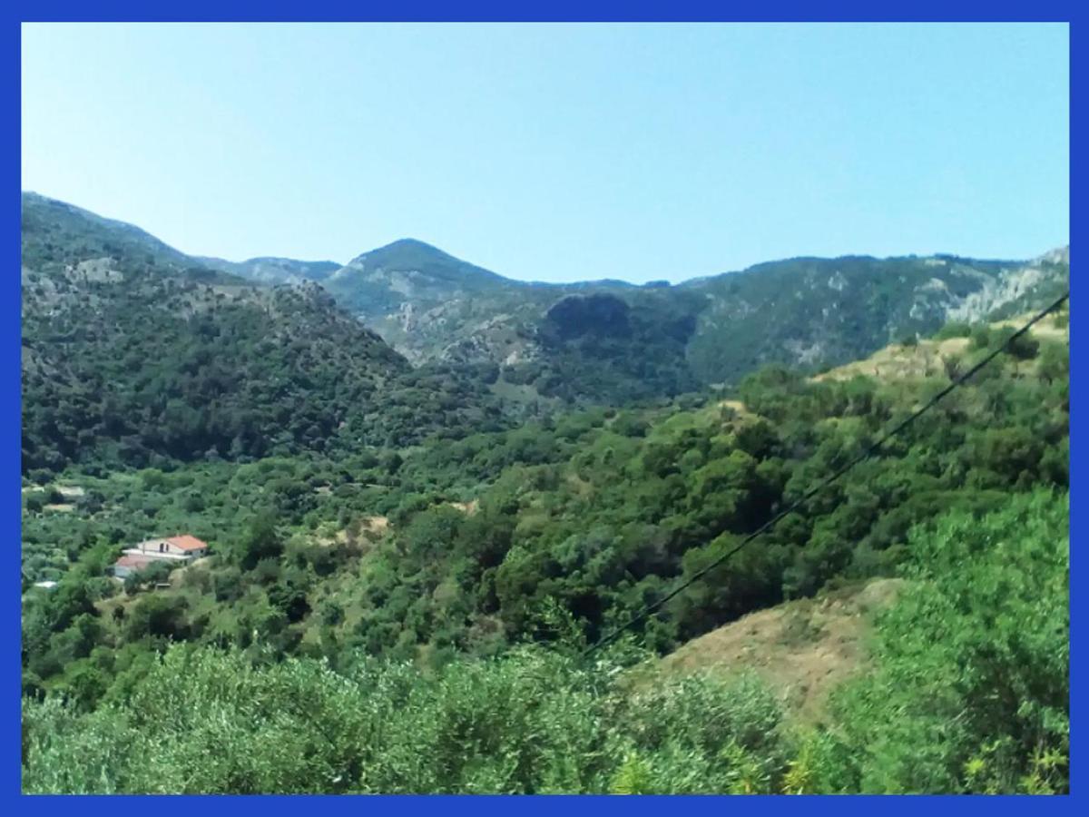Kampos View Ikaria Leilighet Evdilos  Eksteriør bilde
