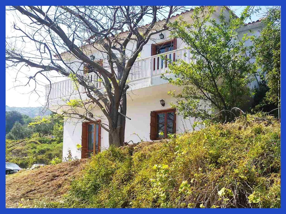 Kampos View Ikaria Leilighet Evdilos  Eksteriør bilde