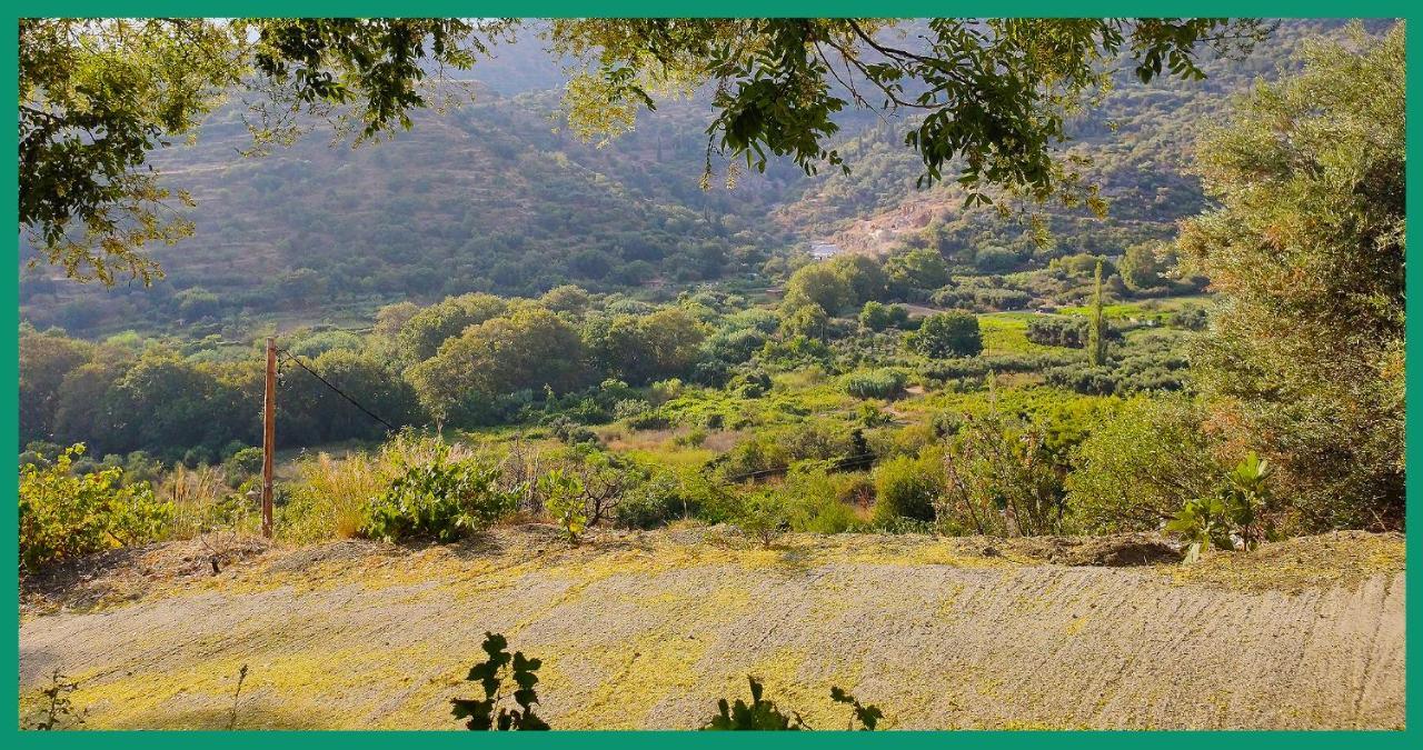 Kampos View Ikaria Leilighet Evdilos  Eksteriør bilde
