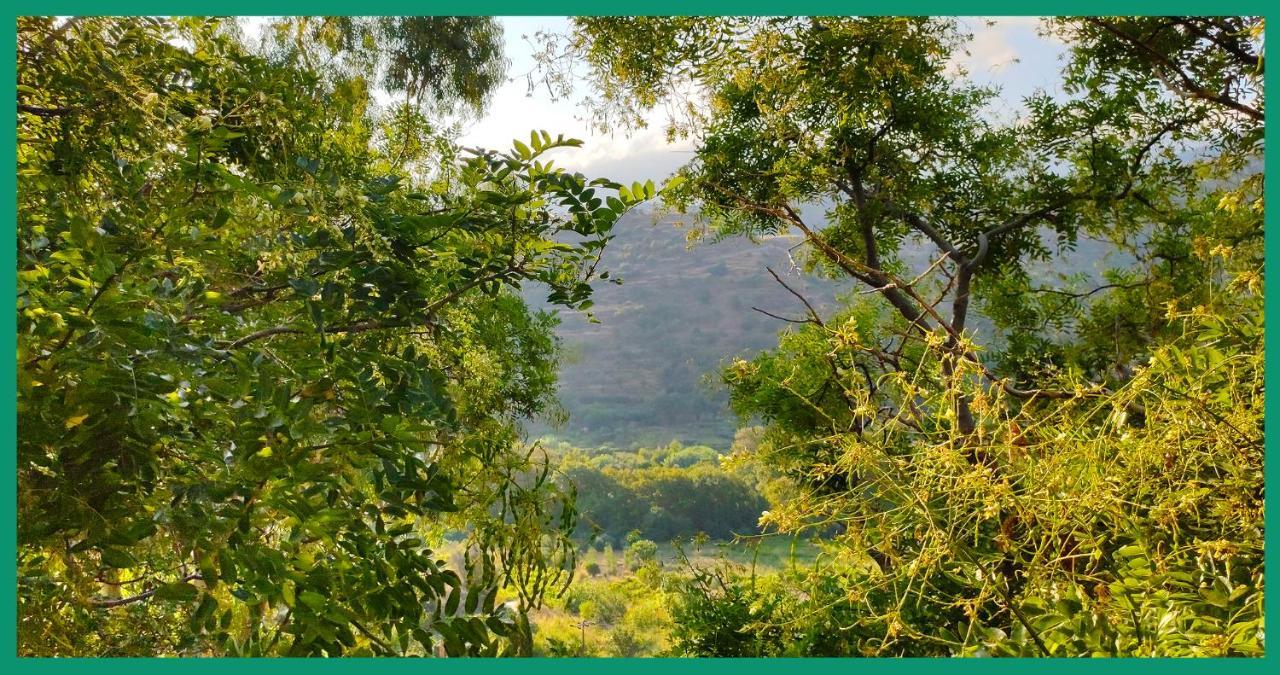Kampos View Ikaria Leilighet Evdilos  Eksteriør bilde