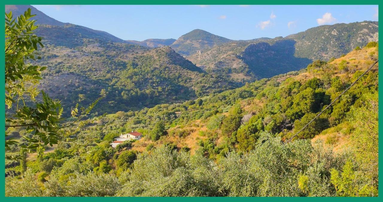 Kampos View Ikaria Leilighet Evdilos  Eksteriør bilde