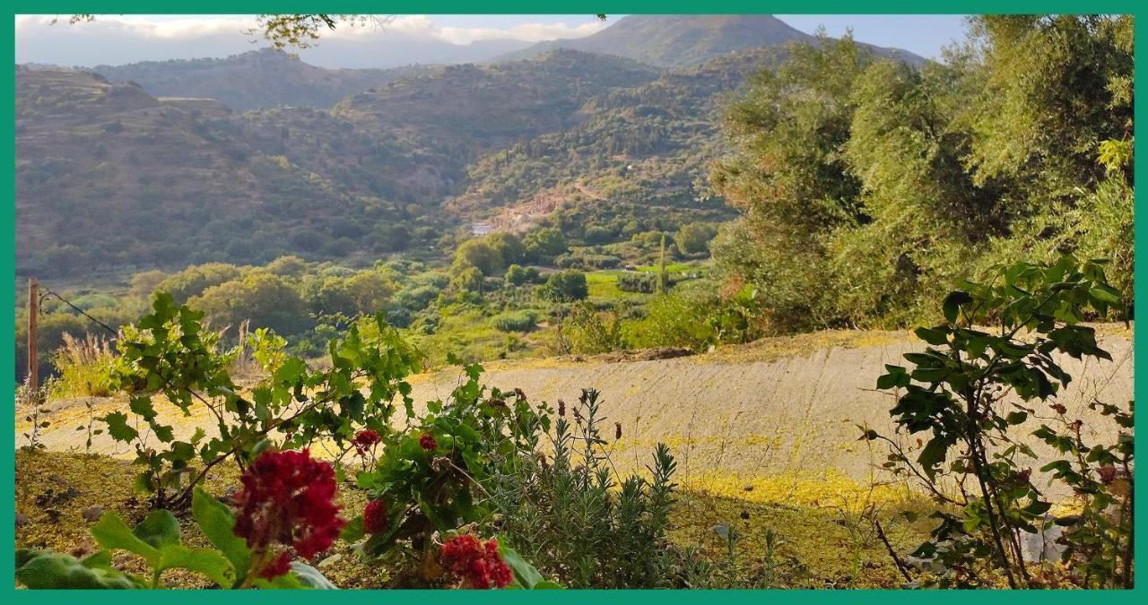 Kampos View Ikaria Leilighet Evdilos  Eksteriør bilde