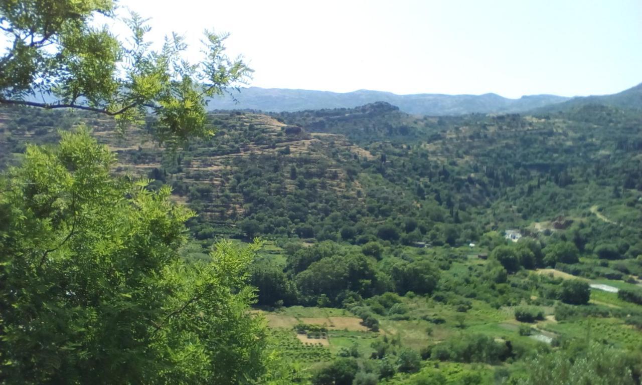 Kampos View Ikaria Leilighet Evdilos  Eksteriør bilde