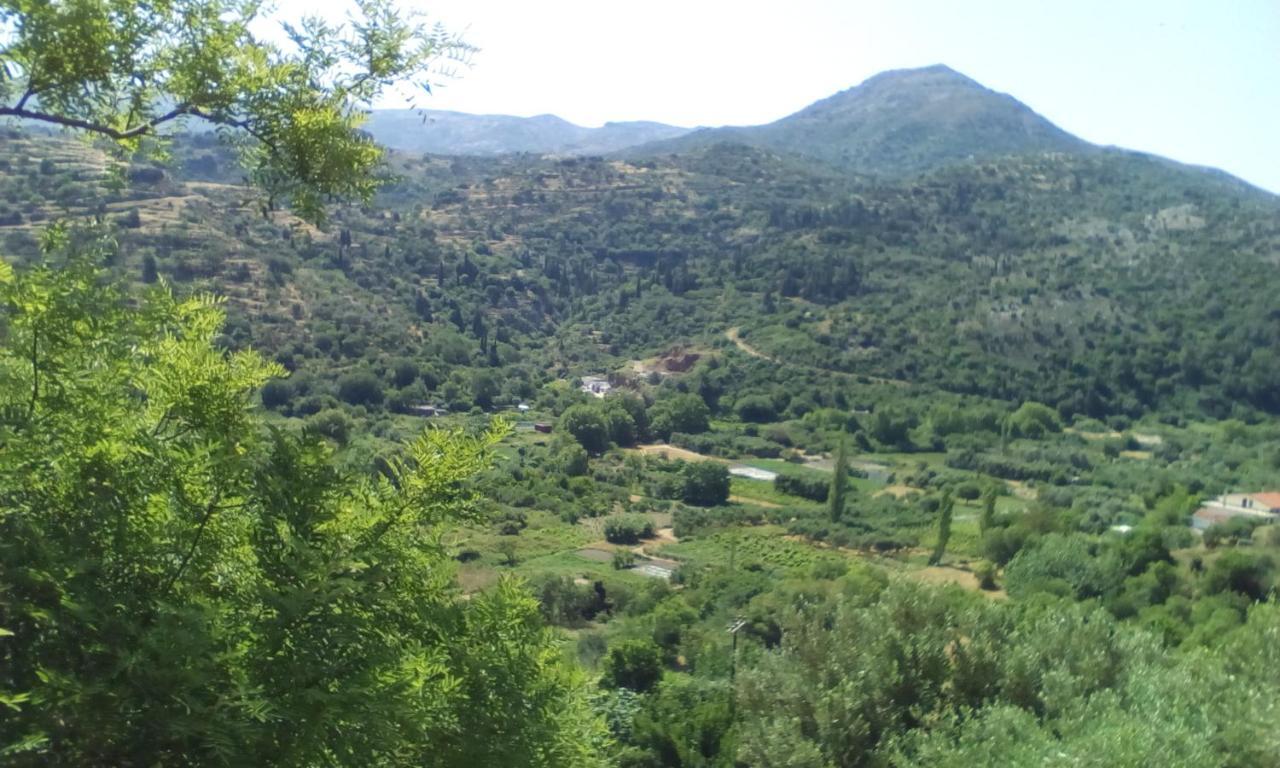 Kampos View Ikaria Leilighet Evdilos  Eksteriør bilde