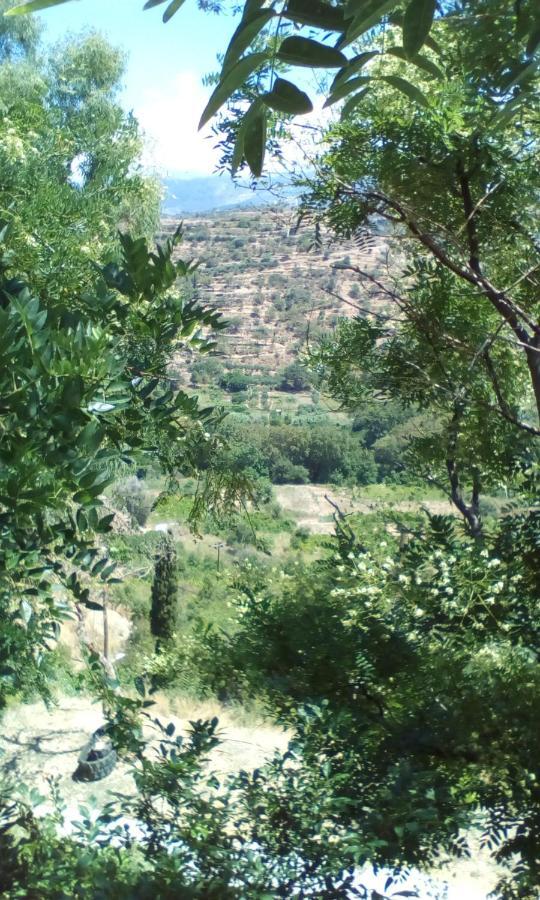 Kampos View Ikaria Leilighet Evdilos  Eksteriør bilde